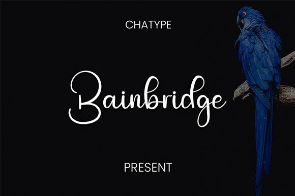 Bainbridge: A Warm, Handwritten Script Font for Digital Brands