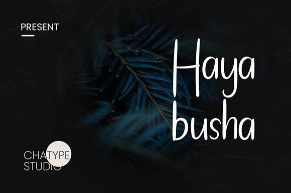 Hayabusha: A Handwritten Font That Feels Human, Not Handed-Down
