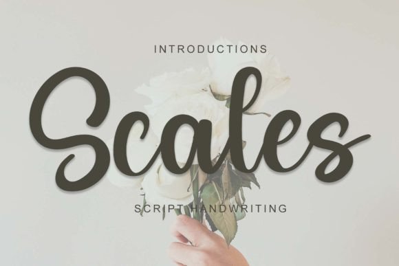Scales: A Handwritten Font That Feels Like a Quiet Conversation